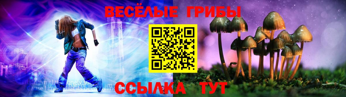 Галлюциногенные грибы мухоморы  Галлюциногенные грибы Psilocybine cubensis  Вход с VPN  Бердск 